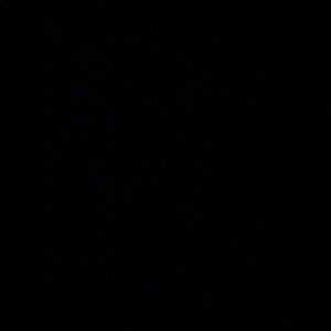 Meet your Posher, Shanice